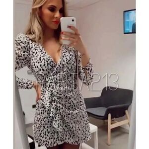 ZARA ANIMAL PRINT DRESS
